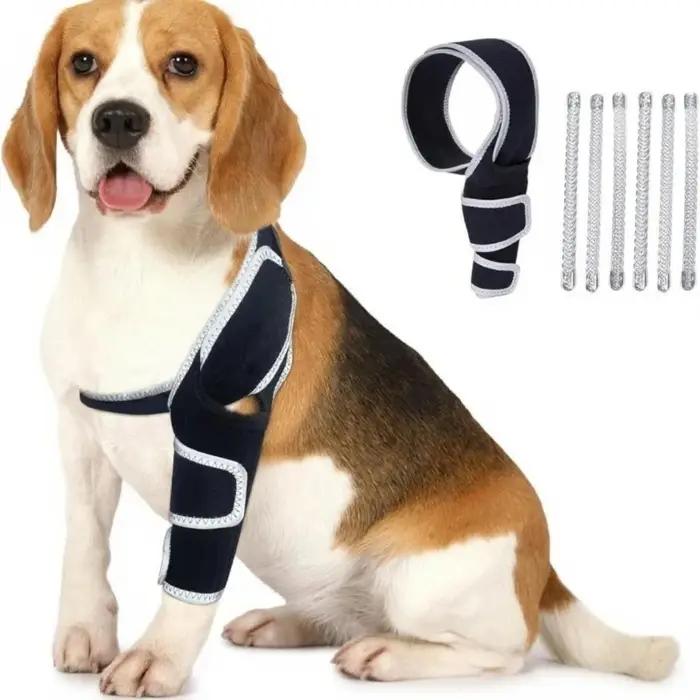 Conception respirabilité Tutamen hanche chien pour actif avec des ceintures soutien régulées Y5GB