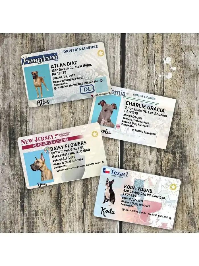 Carte personnalisée pour chien, carte PVC pour animal de compagnie, carte d'identification personnalisée pour animal, cadeau d'anniversaire pour animal, carte de poche idéale pour animal, cadeau pour
