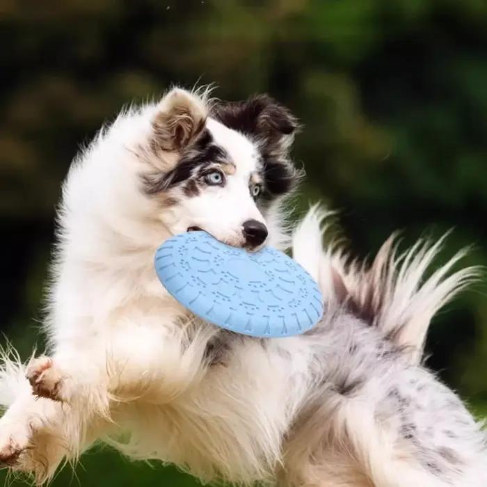 Disque volant durable pour chiens de taille moyenne/grande : Frisbee résistant aux morsures pour le jeu et