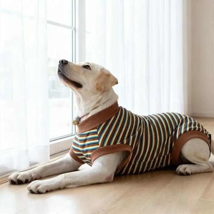 Combinaison pour chien à rayures