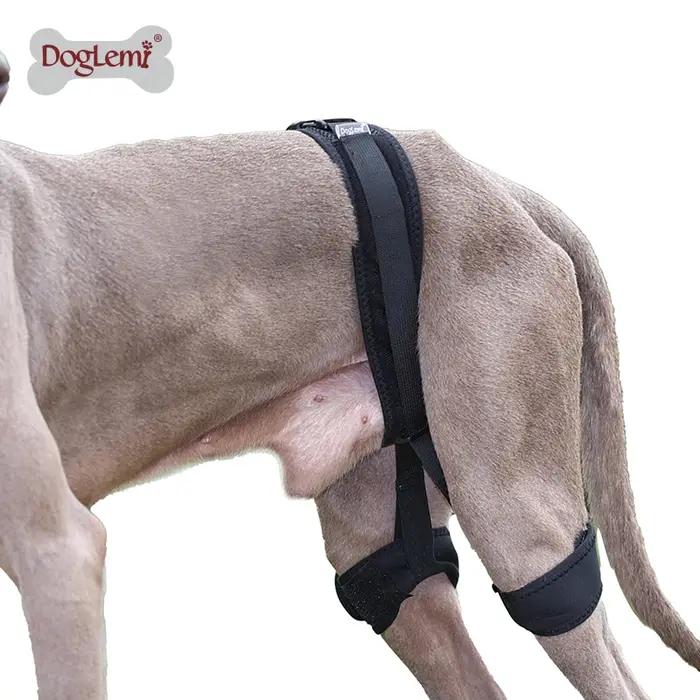 Bande orthopédique de récupération de haute qualité pour pattes arrière de chiens