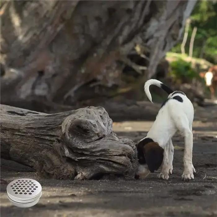 【NOËL】 Boîte d'entraînement pour chiens