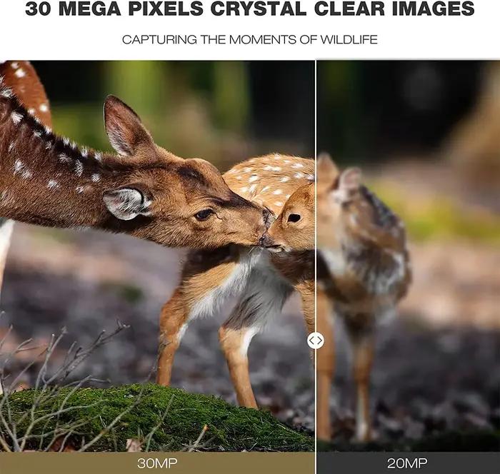 Caméra de chasse 4K pour diffusion en direct