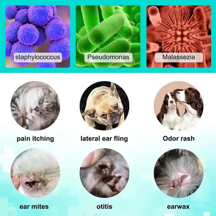 Nettoyeur d'oreille pour chien