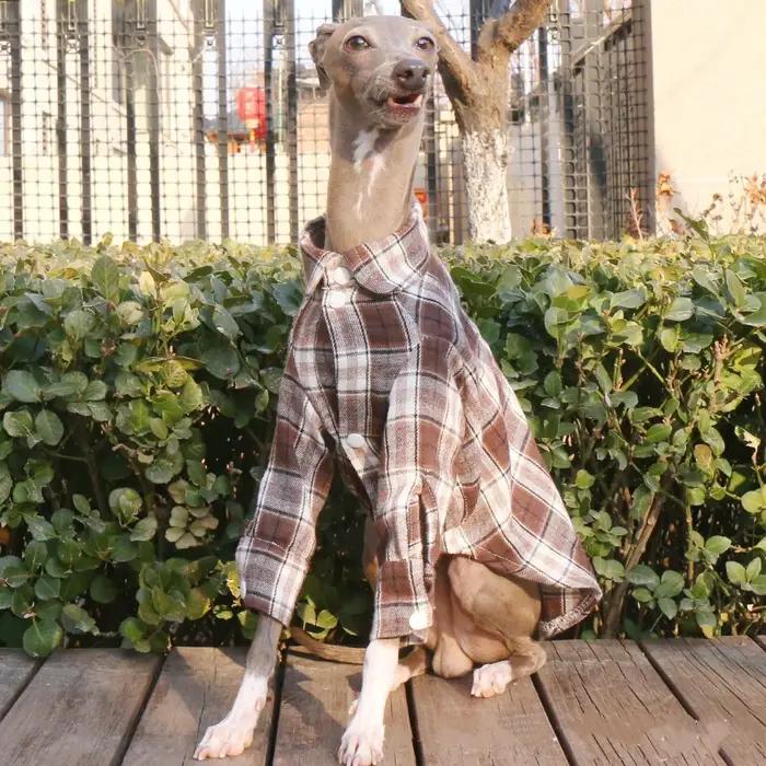 Manteau de printemps à manches longues en coton vert pour chiens mi-chiens