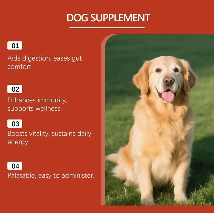 Complément probiotique pour chiens, ingrédients doux, soin quotidien, améliore le confort intestinal et la santé digestive des chiens