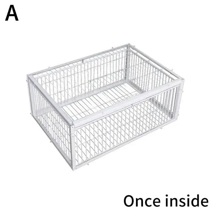 Piège automatique Cage à oiseaux