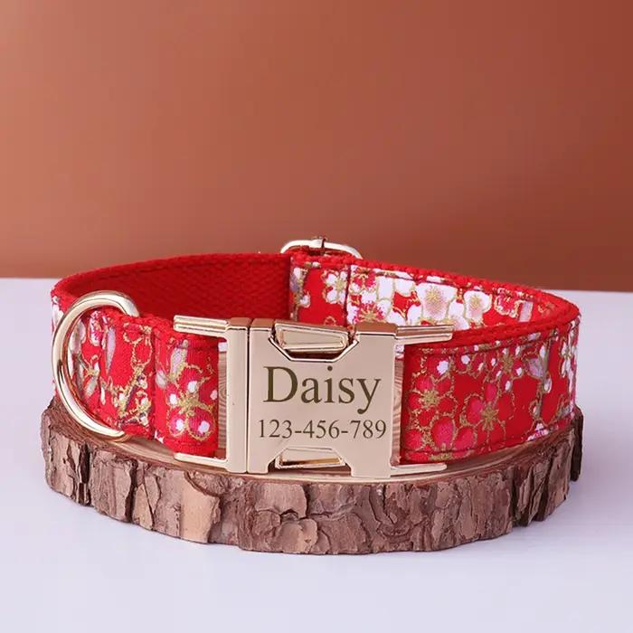 Collier de chien personnalisé