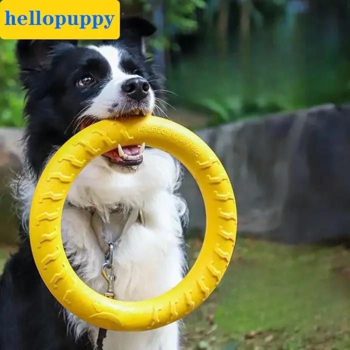 Jouets pour chiens : Anneaux indestructibles pour la mastication