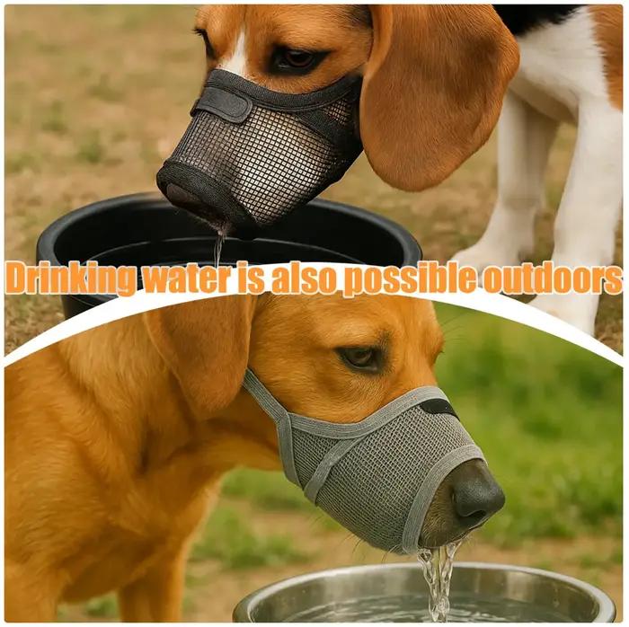 Muzzles respirants à grille pour chiens de taille moyenne à grande