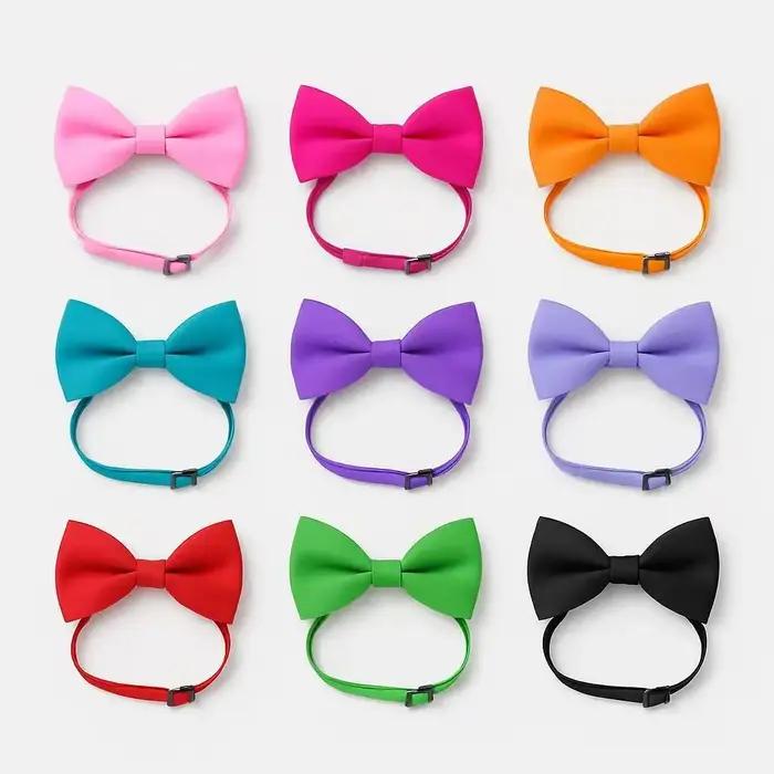 Nœuds papillon colorés pour chats et chiens