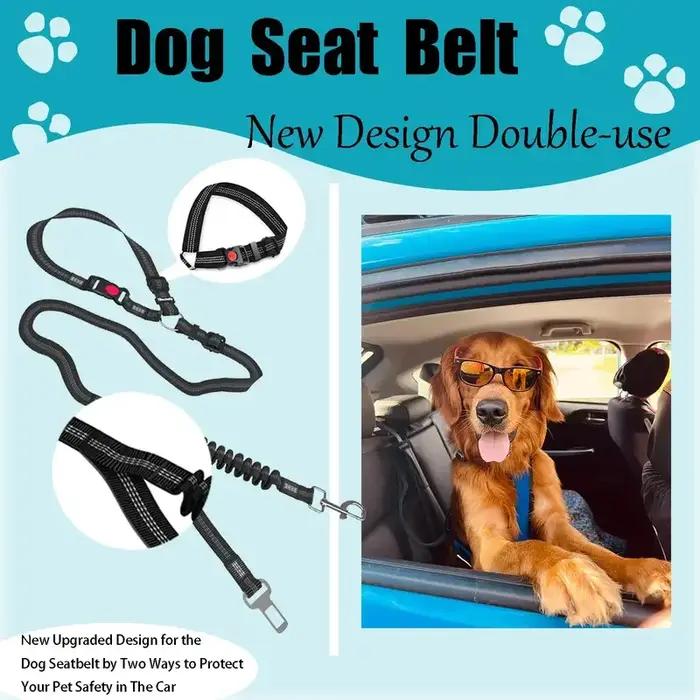 Ceinture de sécurité pour chien