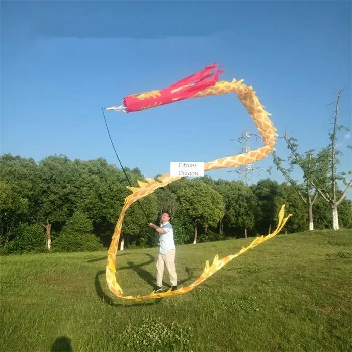 Ensemble de Dragon volant à tige de 20 mètres de haut