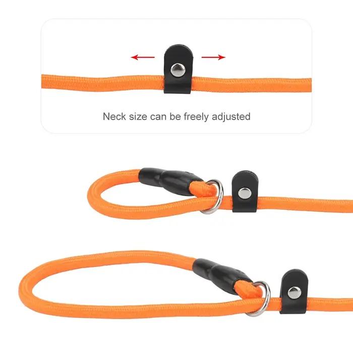 Collier à glissière pour chien