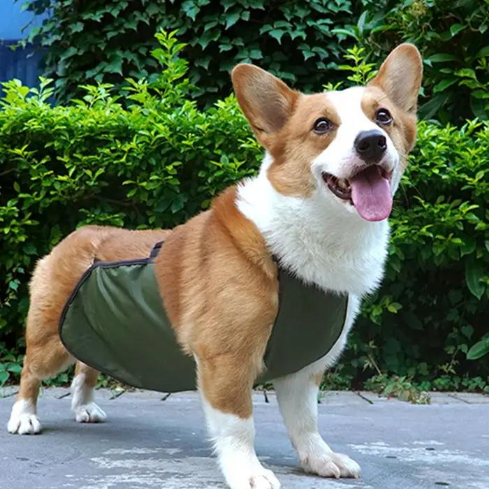 Protecteur de ventre de grand chien, bande imperméable, respirante, complète, facile à nettoyer, bav