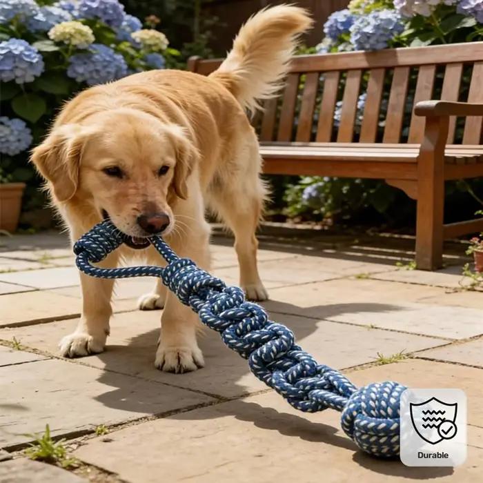 Jouet en corde à nœuds pour chien, jouet à mâcher en corde pour chien, jouet interactif pour animaux