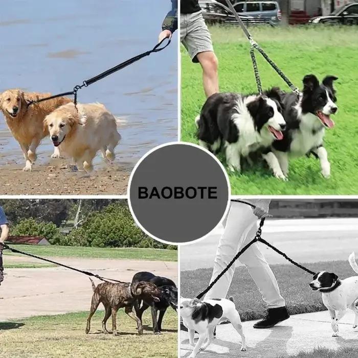 Laisse pour chien, corde à double extrémité pour chien