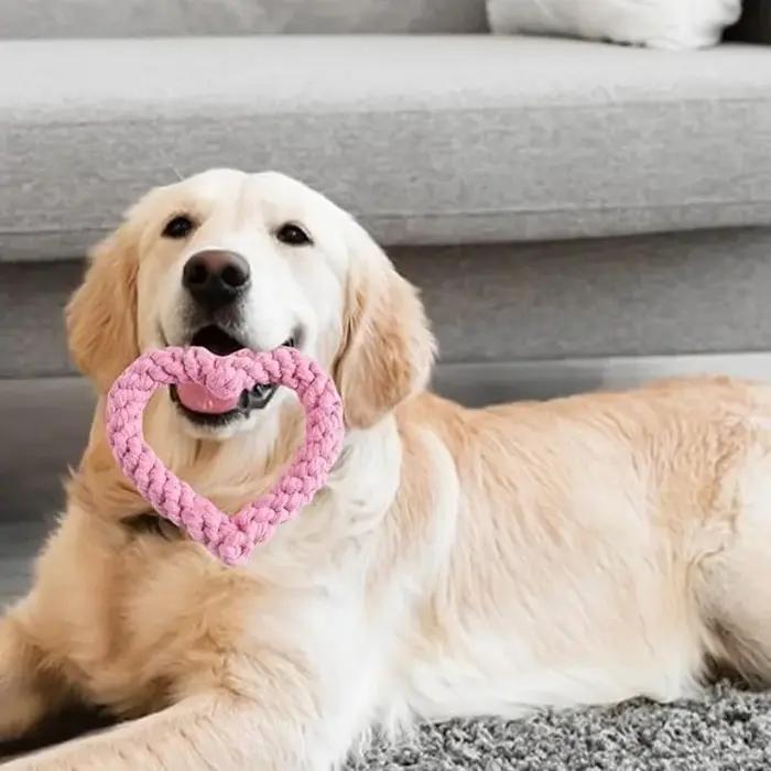 Jouet à mâcher pour chien en forme de cœur