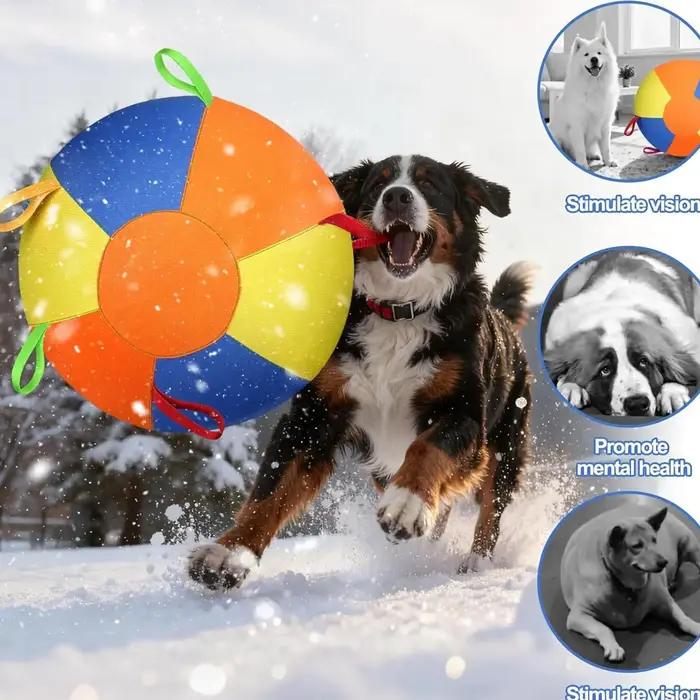 Ballon de dressage pour chiens
