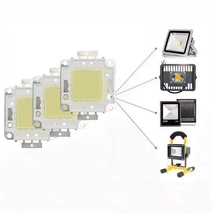 Ampoules LED pour projecteur, 10W 20W 30W 50W 100W, 10 pièces/lot, lampes à Diode pour rétro-éclaira