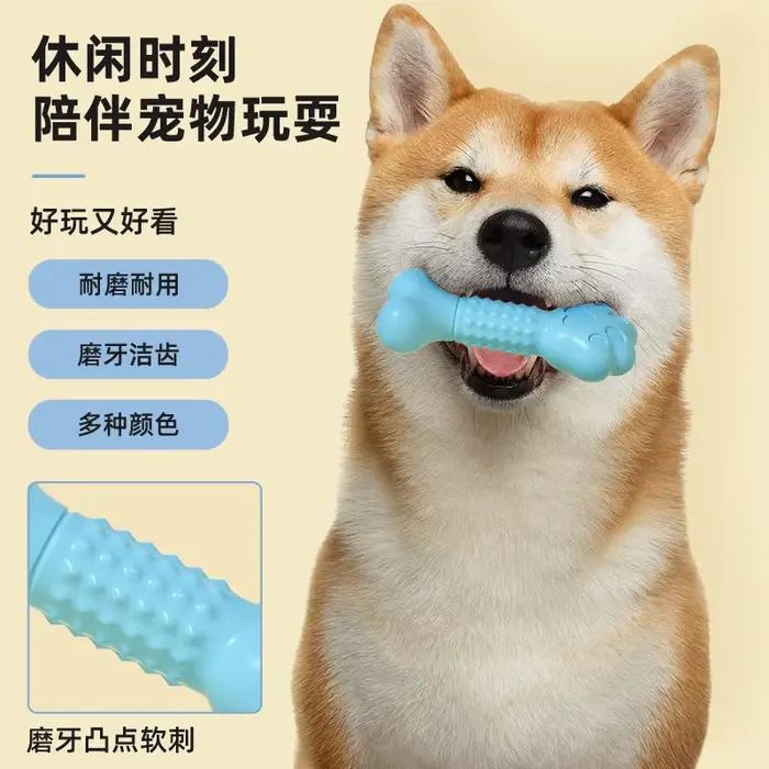 Jouet pour chien, durable et résistant à la mastication