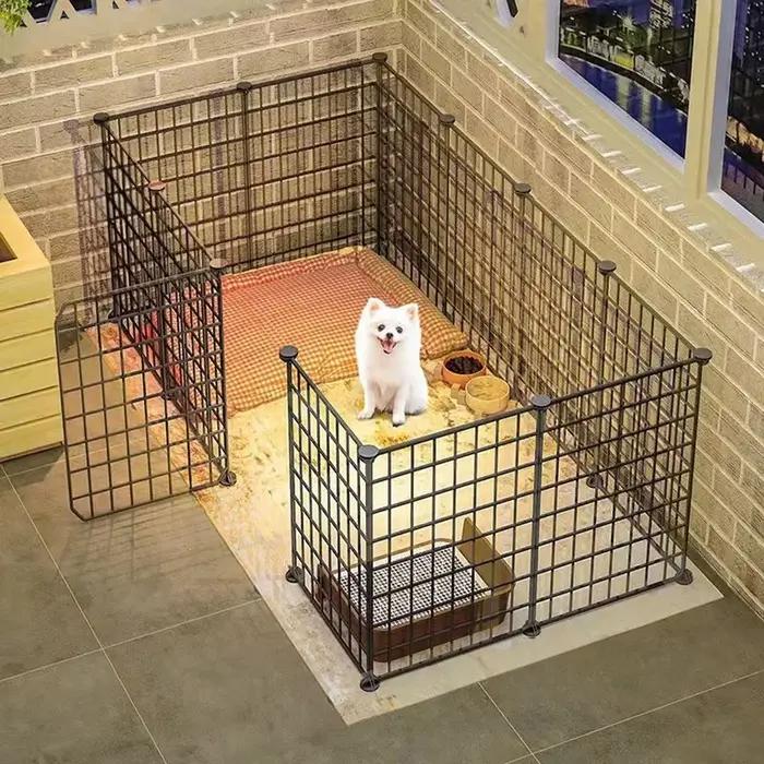 Type de clôture pour chien