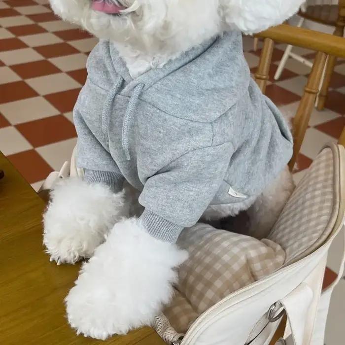 Lettre à capuche vêtements pour animaux de compagnie chiens mode coton chien vêtements Costume petit