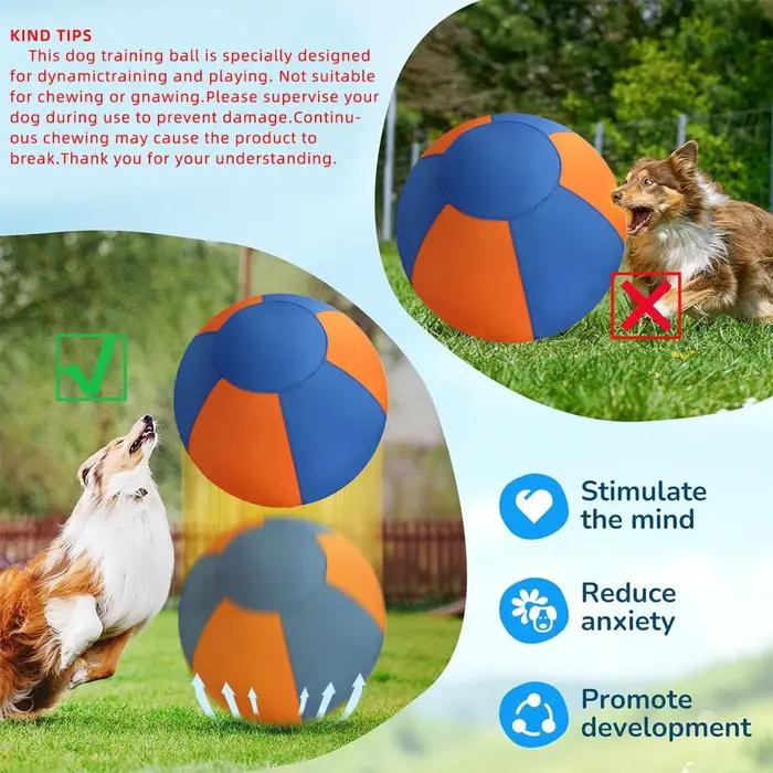 Ballon de dressage pour chiens 25/45/55CM avec housse de protection et pompe