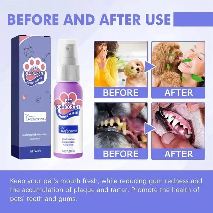 Spray dentaire portable pour animaux de compagnie