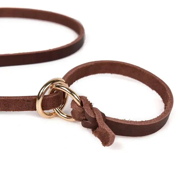Laisse de dressage pour chien en cuir véritable
