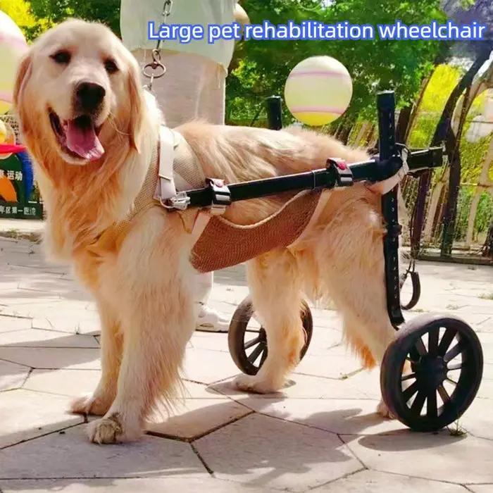 Fauteuil roulant pour chien handicapé