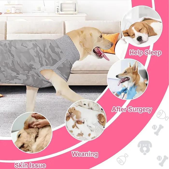 Combinaison de récupération chirurgicale pour chien