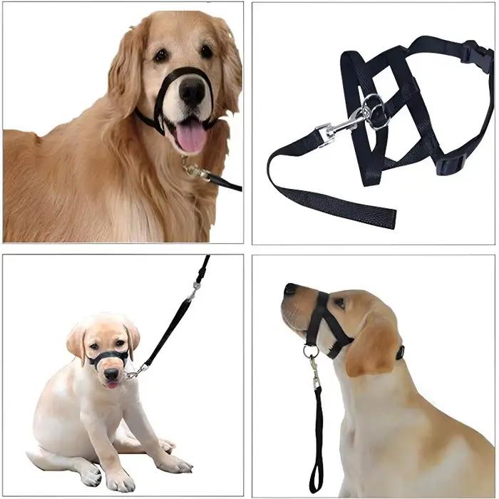 Collier muselière licou réglable anti-morsure anti-aboiement pour chien de toutes tailles et toutes saisons accessoire de promenade et sécurité pour animal de compagnon