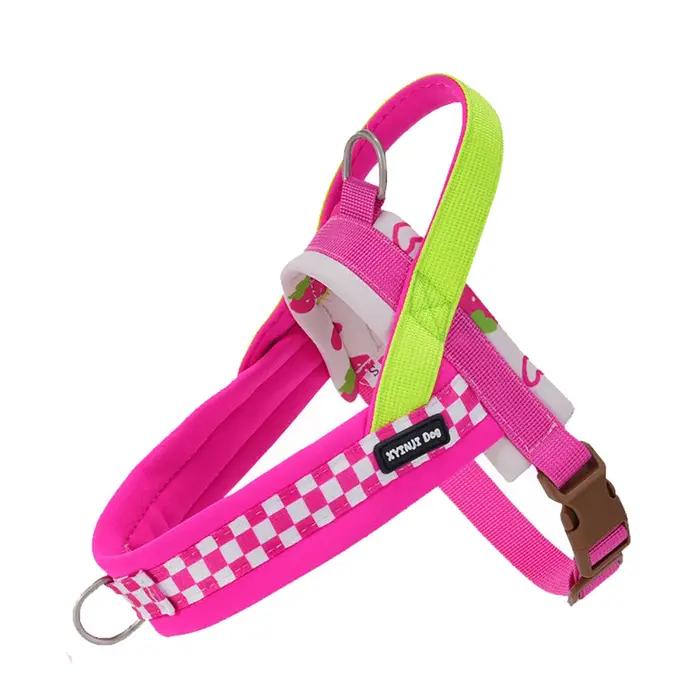 Harnais pour chien léger et doux de style selle, gilet respirant aux couleurs Dopamine avec éléments