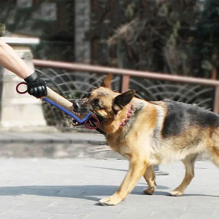 Bâtons à mâcher en jute durables pour l'entraînement des chiens de berger allemand