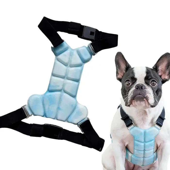 Gilet rafraîchissant pour chien