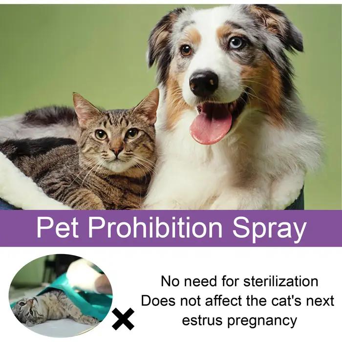 Spray Apaisant pour Chat et Chien – Soulagement de l'Anxiété et de la Stimulation Physiologique – Soutien Relaxant pour le Stress des Animaux – Complément Naturel à base de Poria – 50ml