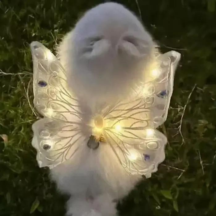 Décoration dorsale lumineuse pour chien