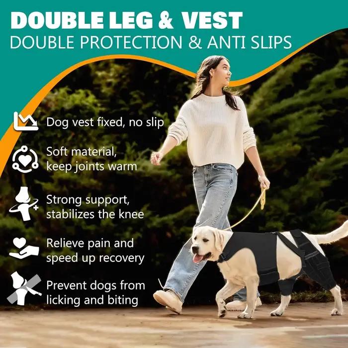 Attelle pour genou de chien pour l'entorse du ligament croisé antérieur (LCA) de la patte arrière