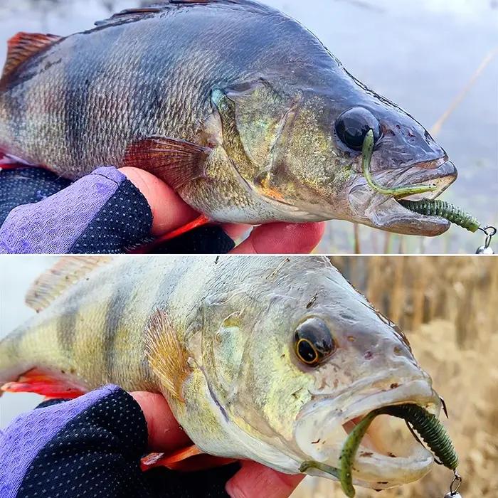 TSURINOYA leurre de pêche Grub 63mm 0.7g 40 pièces jeu léger Ajing appât souple artificiel BOUNDEN b