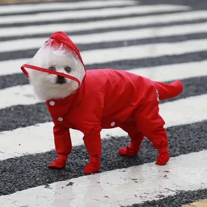 Imperméable tout compris pour animaux de compagnie