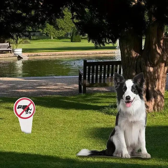 Panneau en plastique « Pas de crottes de chien » – Avertissement de proscution des excréments