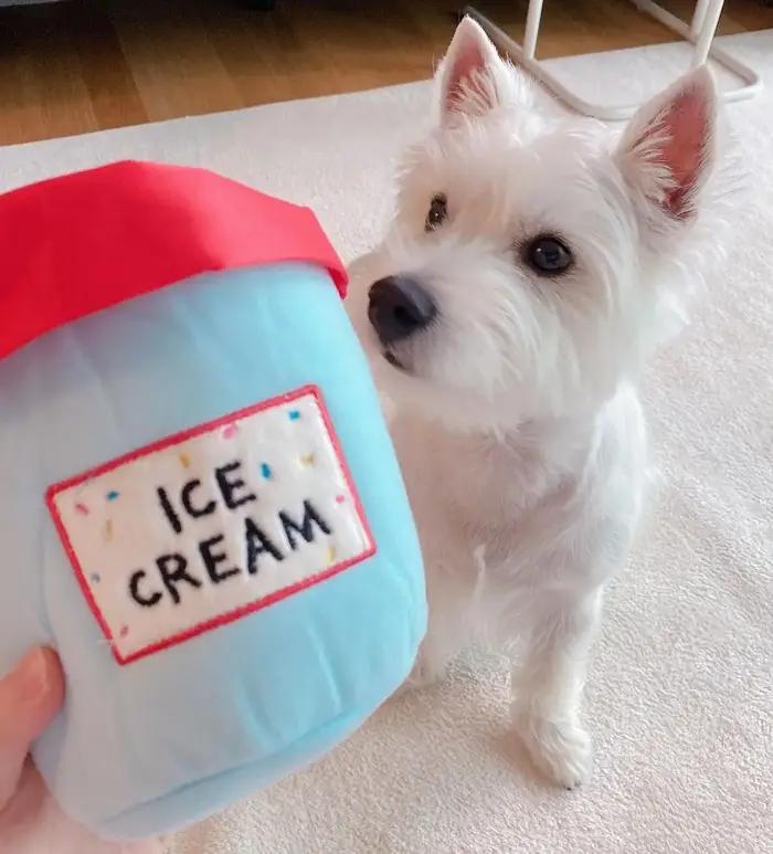 Nouveau jouet en peluche pour chien seau à crème glacée jouet grinçant balle interactive pour animaux de compagnie occaions spéciales chiens petits et moyens chiots
