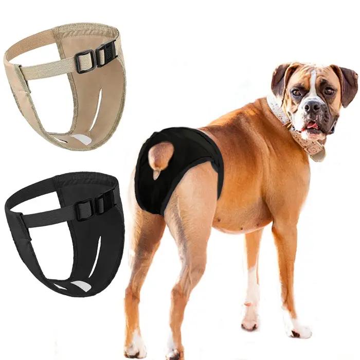 Culotte réglable pour chien féminin