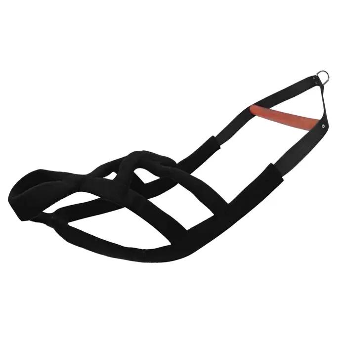 Poids de traction SFP durable pour gros chiens