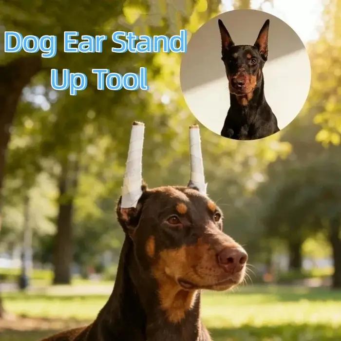 Tiges en mousse souple pour maintenir les oreilles de chien droites outil de dressage non invasif pour chiens oreilles confortables et élégantes agilité chiens occasions quotidiennes