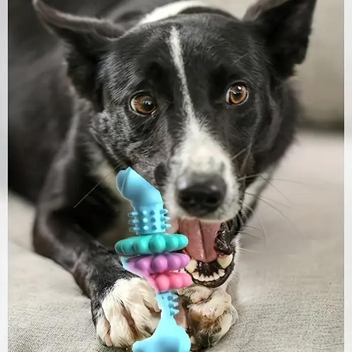 Jouet d'os à mâcher indestructible pour chien
