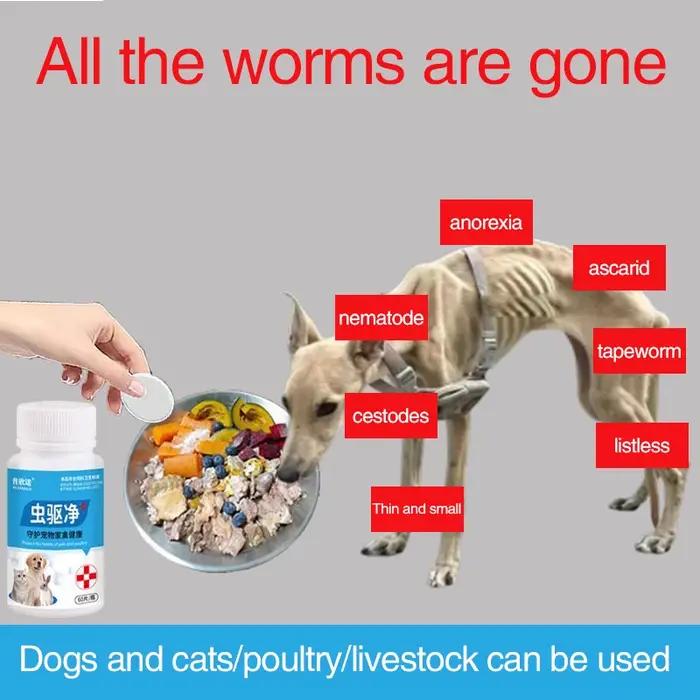 Variété de Parasites pour Animaux de Compagnie