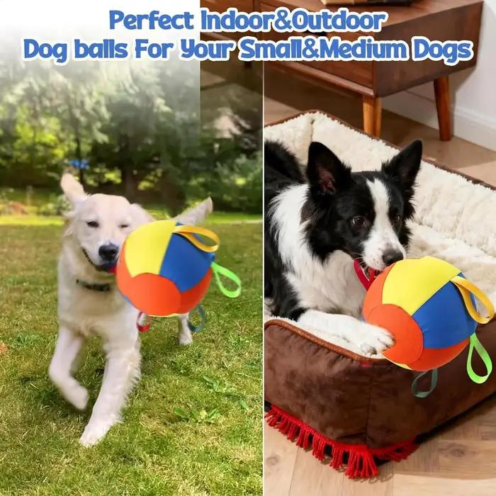 Ballon de dressage pour chiens