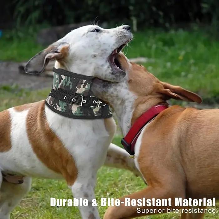 Protège-cou pour chien de chasse JANPET en nylon robuste pour toutes les saisons et activités de plein air